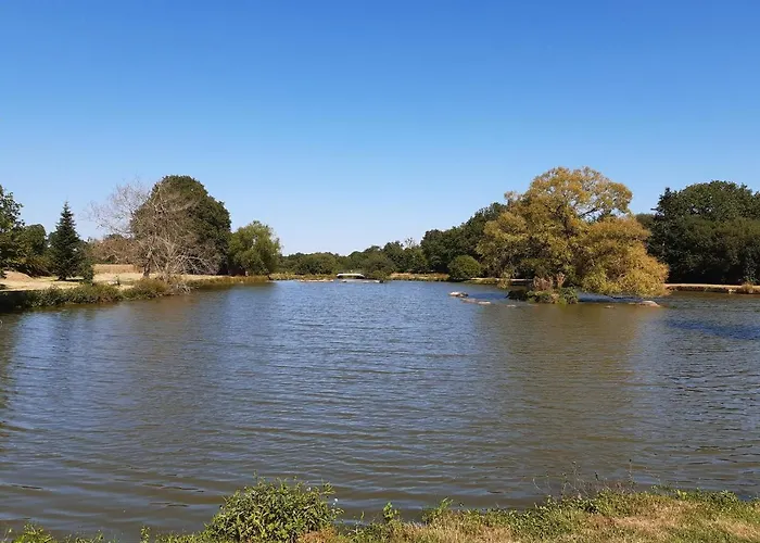 Willow View Country Retreat, Fénery, Deux-sèvres, Nouvelle-aquitaine * Fenery