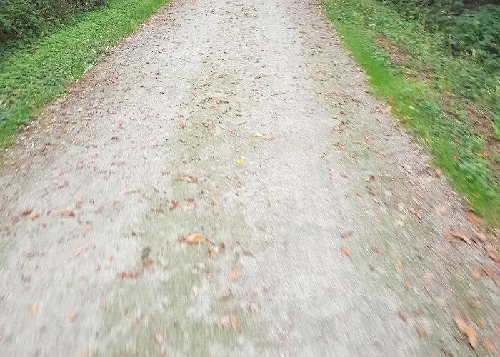 Willow View Country Retreat, Fénery, Deux-sèvres, Nouvelle-aquitaine *