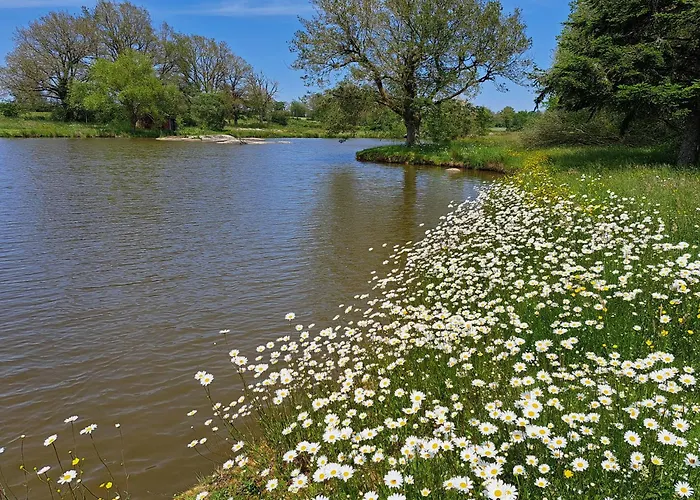 Willow View Country Retreat, Fénery, Deux-sèvres, Nouvelle-aquitaine Сasa de vacaciones Fenery